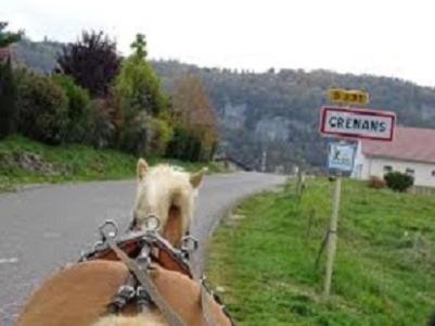 Bed and Breakfast La Bergerie Crenantine à Crenans Extérieur photo